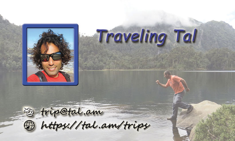Contact Card | Traveling Tal