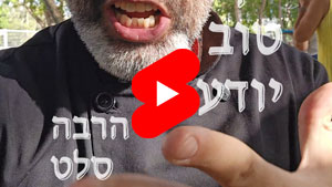 Every Good Chef Knows - A Lot Of Salad | Tal Ami