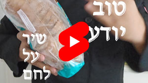 Every Good Chef Knows - A Song About Bread | Tal Ami