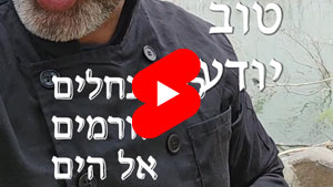 כל שף טוב יודע - כל הנחלים זורמים אל הים | טל עמי