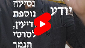 כל שף טוב יודע - נסיעה נוספת למודיעין, לסרטי הגמר | טל עמי