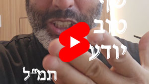 כל שף טוב יודע - תמ"ל | טל עמי