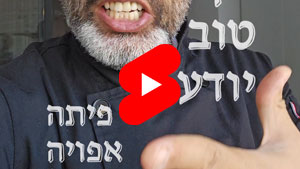 כל שף טוב יודע - פיתה אפויה | טל עמי