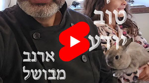 כל שף טוב יודע - ארנב מבושל | טל עמי