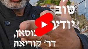 כל שף טוב יודע - בוסאן, דרום קוריאה | טל עמי