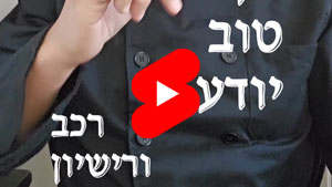 כל שף טוב יודע - רכב ורישיון | טל עמי