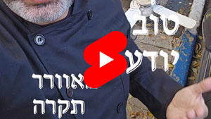 Every Good Chef Knows - Ceiling Fan | Tal Ami