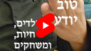כל שף טוב יודע - ילדים, חיות, ומשחקים | טל עמי