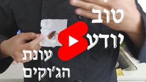 Every Good Chef Knows - Cockroach Season | Tal Ami