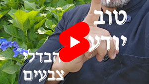 כל שף טוב יודע - הבדלי צבעים | טל עמי