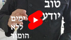 כל שף טוב יודע - ימים ללא הומור | טל עמי