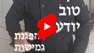 כל שף טוב יודע - הפגנת גמישות | טל עמי