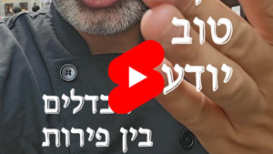 Every Good Chef Knows - Differences Between Fruits | Tal Ami
