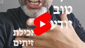 Every Good Chef Knows - Eating Olives | Tal Ami