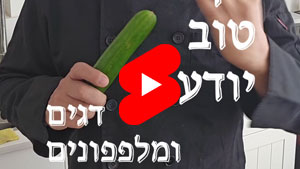 כל שף טוב יודע - דגים ומלפפונים | טל עמי