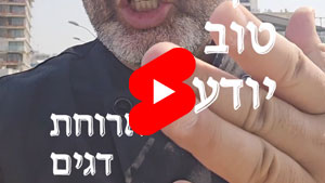 כל שף טוב יודע - ארוחת דגים | טל עמי