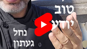 Every Good Chef Knows - Ga'aton River | Tal Ami