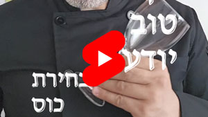 כל שף טוב יודע - בחירת כוס | טל עמי