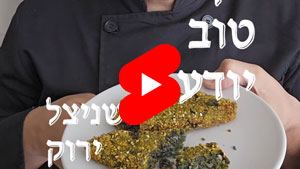 Every Good Chef Knows - Green Shnitzel | Tal Ami