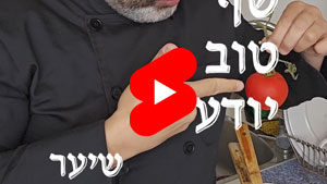 כל שף טוב יודע - שיער | טל עמי