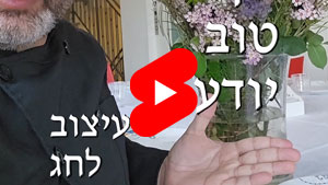 Every Good Chef Knows - Holiday Decoration | Tal Ami