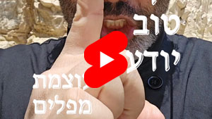 כל שף טוב יודע - עוצמת מפלים | טל עמי