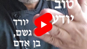 Every Good Chef Knows - It's Raining, Man | Tal Ami