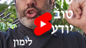 Every Good Chef Knows - Lemon | Tal Ami