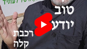 כל שף טוב יודע - רכבת קלה | טל עמי