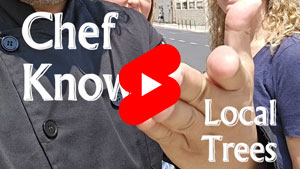 Every Good Chef Knows - Local Trees - English | Tal Ami