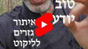 כל שף טוב יודע - איתור גזרים לליקוט | טל עמי