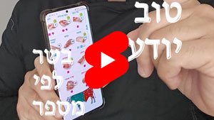 כל שף טוב יודע - בשר לפי מספר | טל עמי