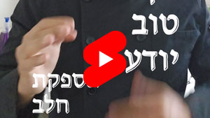 Every Good Chef Knows - Milk Supply | Tal Ami