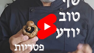 כל שף טוב יודע - פטריות | טל עמי