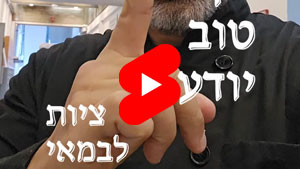 כל שף טוב יודע - ציות לבמאי | טל עמי
