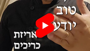כל שף טוב יודע - אריזת כריכים | טל עמי