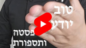 כל שף טוב יודע - פסטה ותספורת | טל עמי