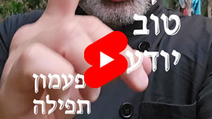 Every Good Chef Knows - Praying Bell | Tal Ami