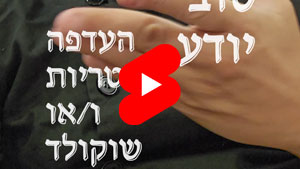 Every Good Chef Knows - Preference For Mushrooms and\or Chocolate | Tal Ami