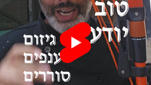 Every Good Chef Knows - Pruning Unruly Branches | Tal Ami