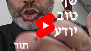 כל שף טוב יודע - תור | טל עמי