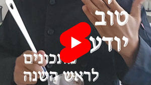 כל שף טוב יודע - מתכונים לראש השנה | טל עמי