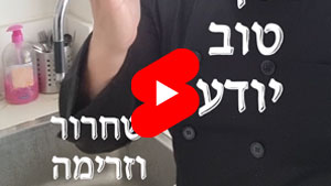 Every Good Chef Knows - Release and Flow | Tal Ami