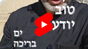 כל שף טוב יודע - ים בריכה | טל עמי