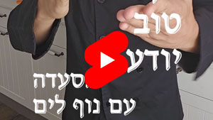 כל שף טוב יודע - מסעדה עם נוף לים | טל עמי