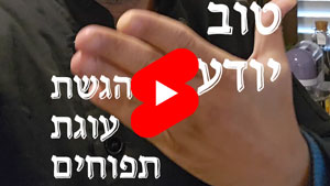 כל שף טוב יודע - הגשת עוגת תפוחים | טל עמי