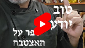 כל שף טוב יודע - ספר על האצטבה | טל עמי