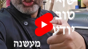 כל שף טוב יודע - מעשנה | טל עמי
