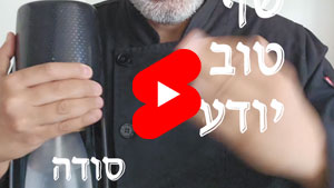 כל שף טוב יודע - סודה | טל עמי