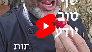 כל שף טוב יודע - תות | טל עמי